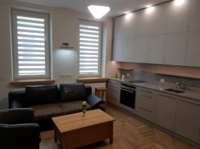 Отель Apartamentas su parkingu Kauno senamiestyje  Каунас